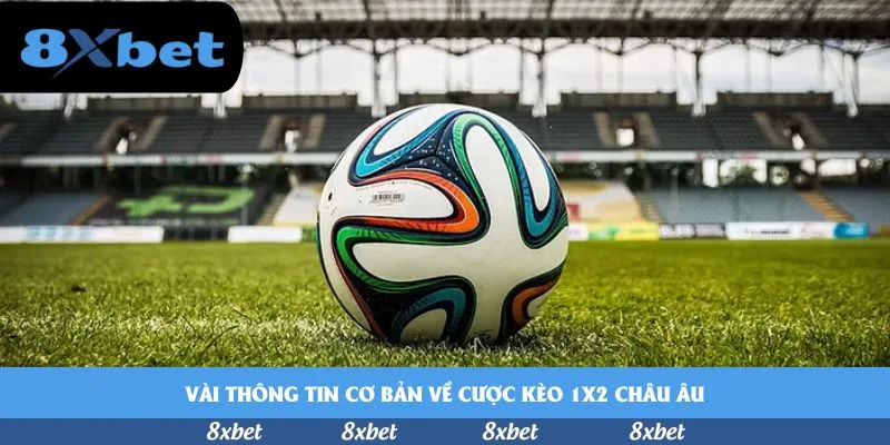 8xbet - link hi88