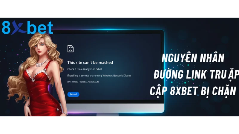 8xbet - cac trang bong da