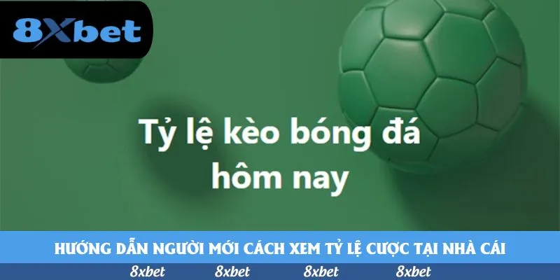 8xbet - bomwin review