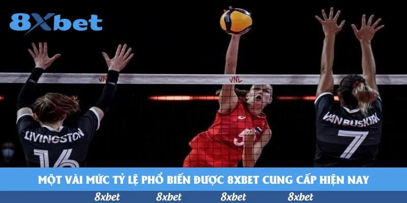 8xbet - bk8 đại lý